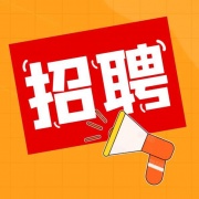 财务/审计/统计/会计